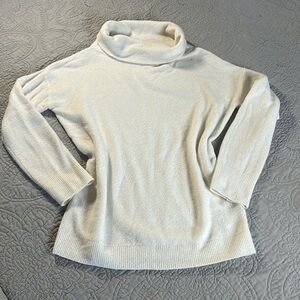 Lark & Ro Sweater Turtle Neck